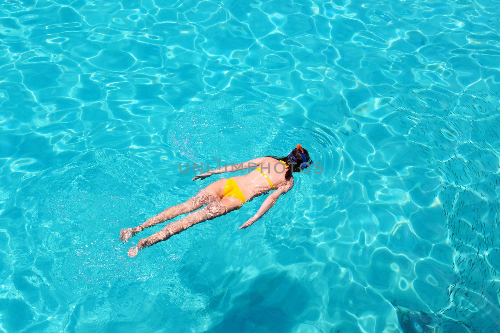 Woman snorkeling in crystal clear turquoise water at tropical beach