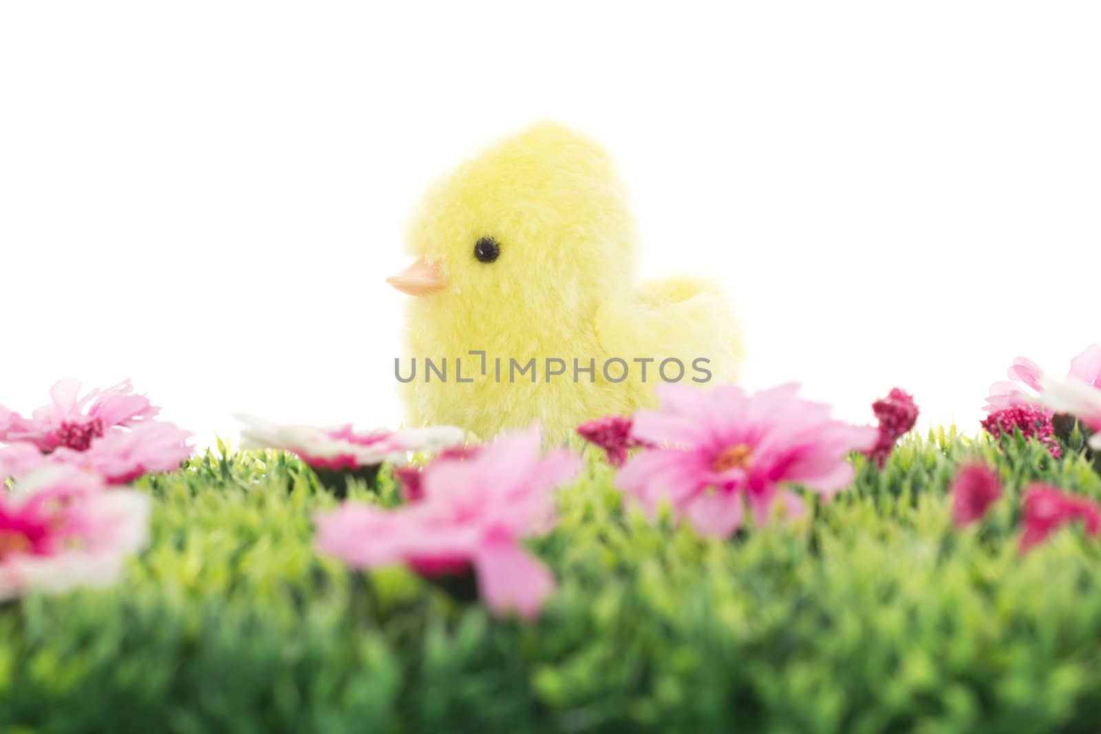 Chick on grass with flowers