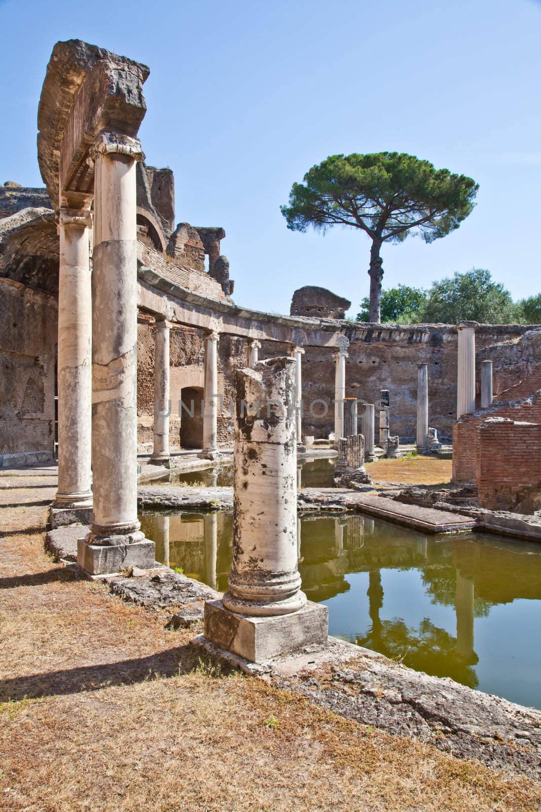 Roman columns in Villa Adriana, Tivoli, Italy