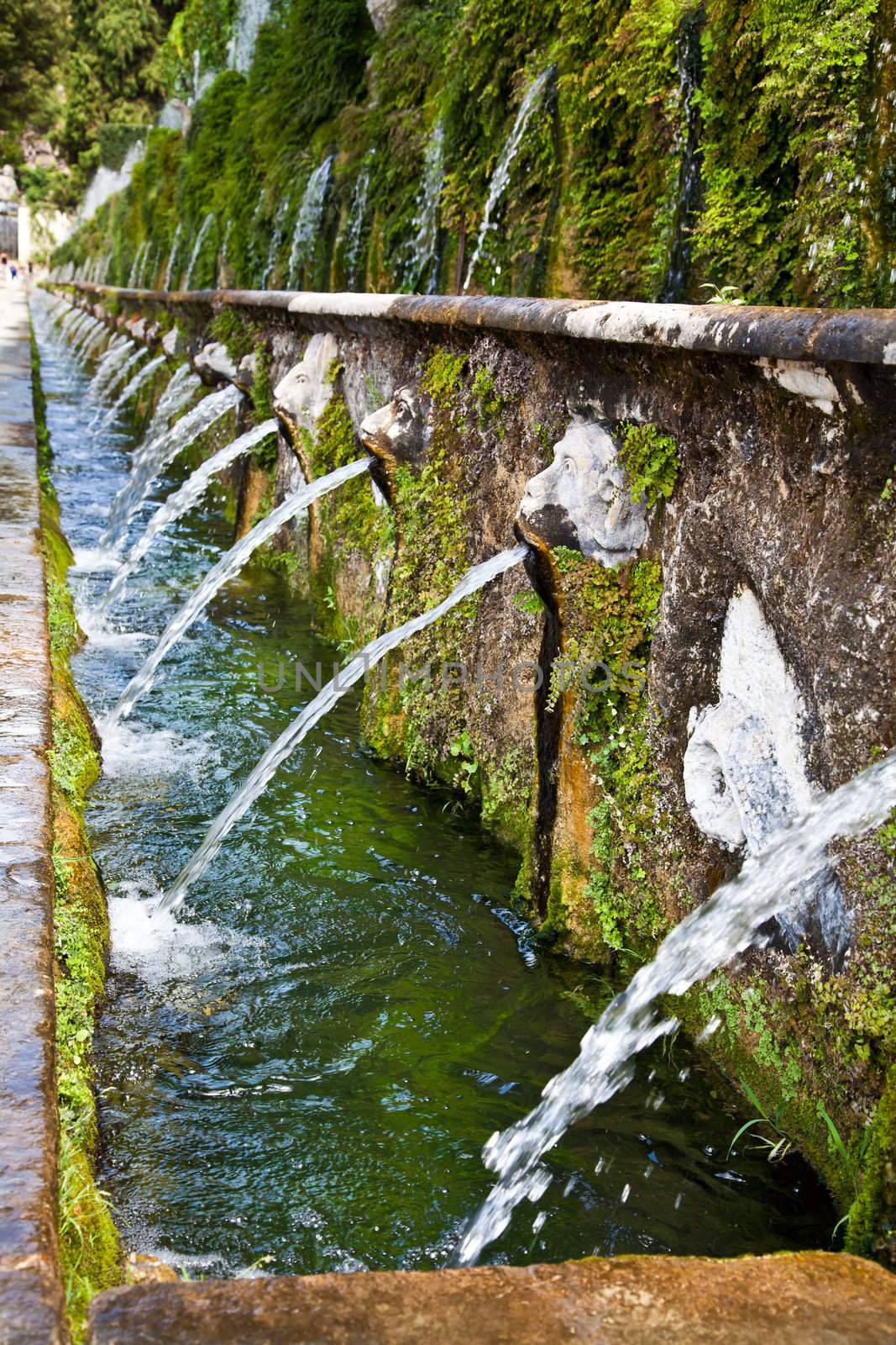 Detail of the luxury Villa d'Este in Tivoli, close to Rome - Italy