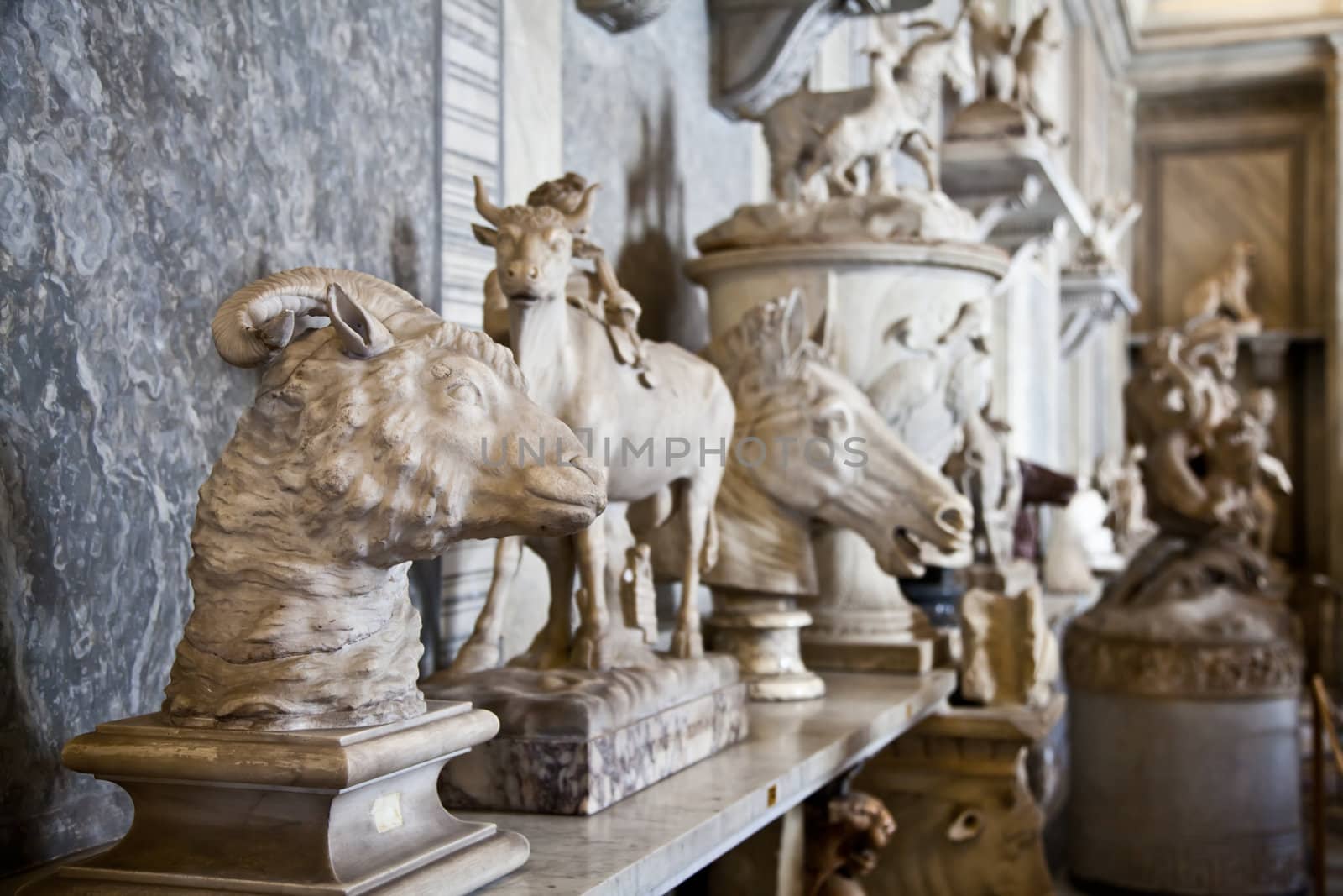 Vatican Museums, Rome, Italy: collection of statues