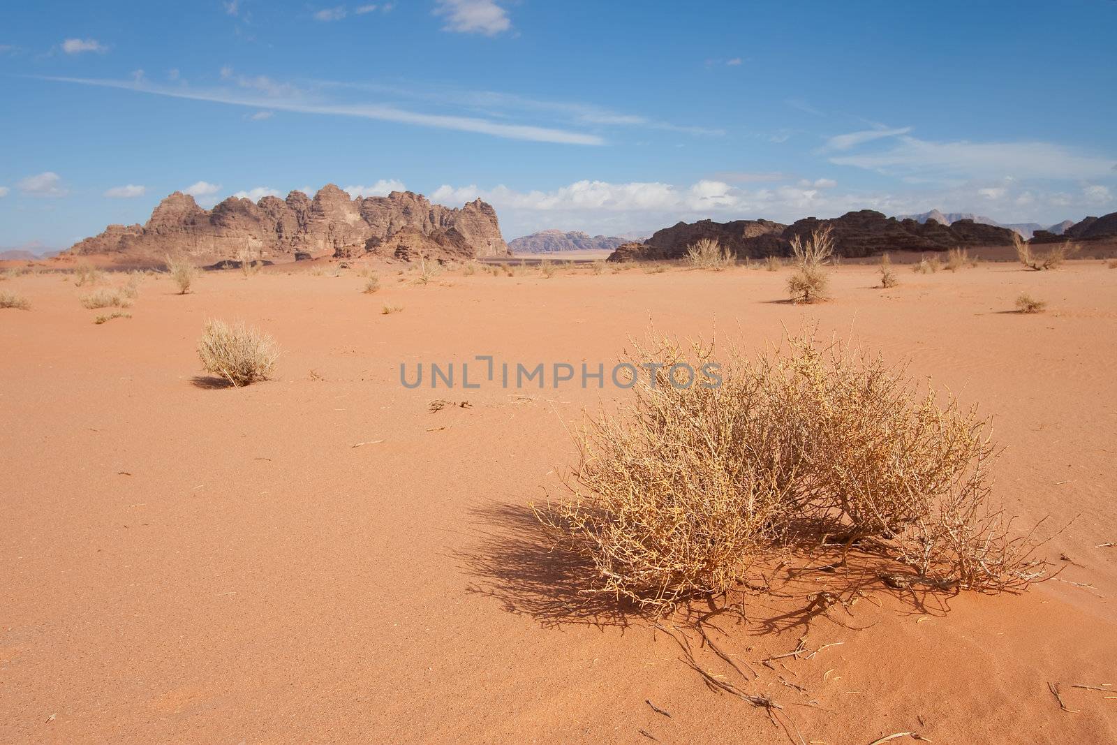Desert of Wadi Rum, Jordan by BancoFotos
