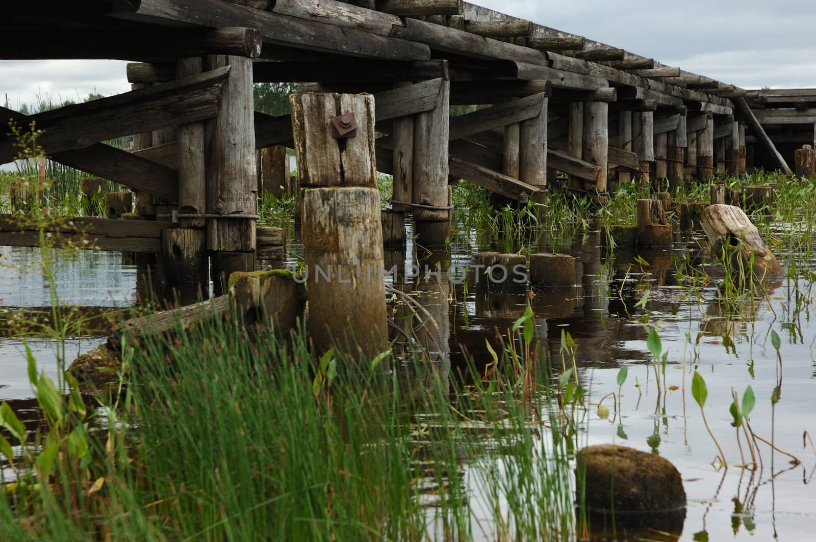 Old wooden bridge by wander