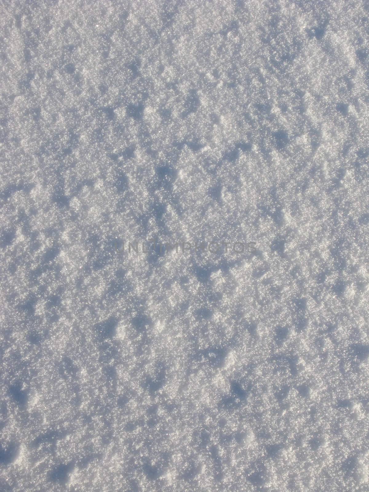 Texture of snow surface on sunny day