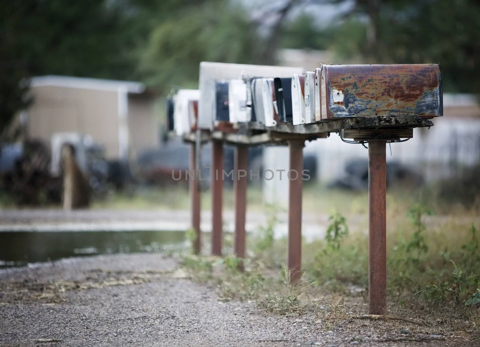Rural mailboxes in a row alongside a country road.