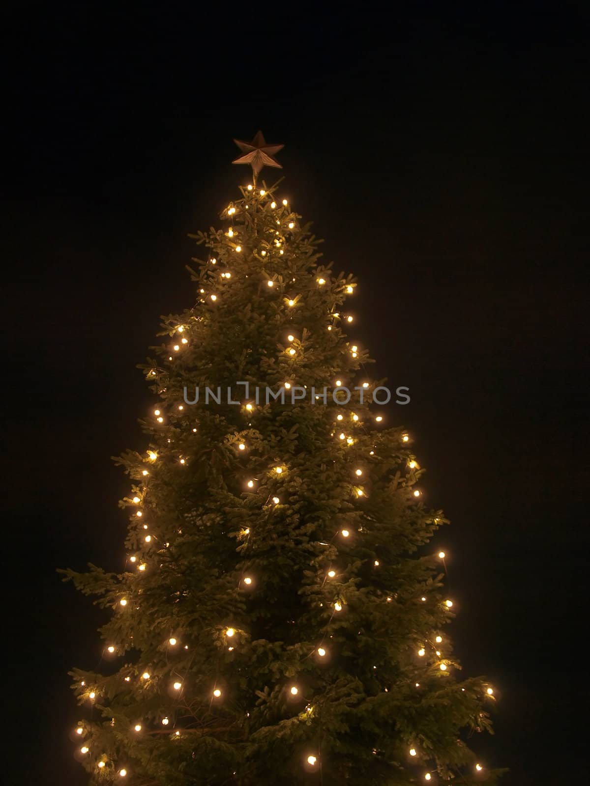 Beautiful Illuminated Christmas Tree Outdoors with a Shiny Star    