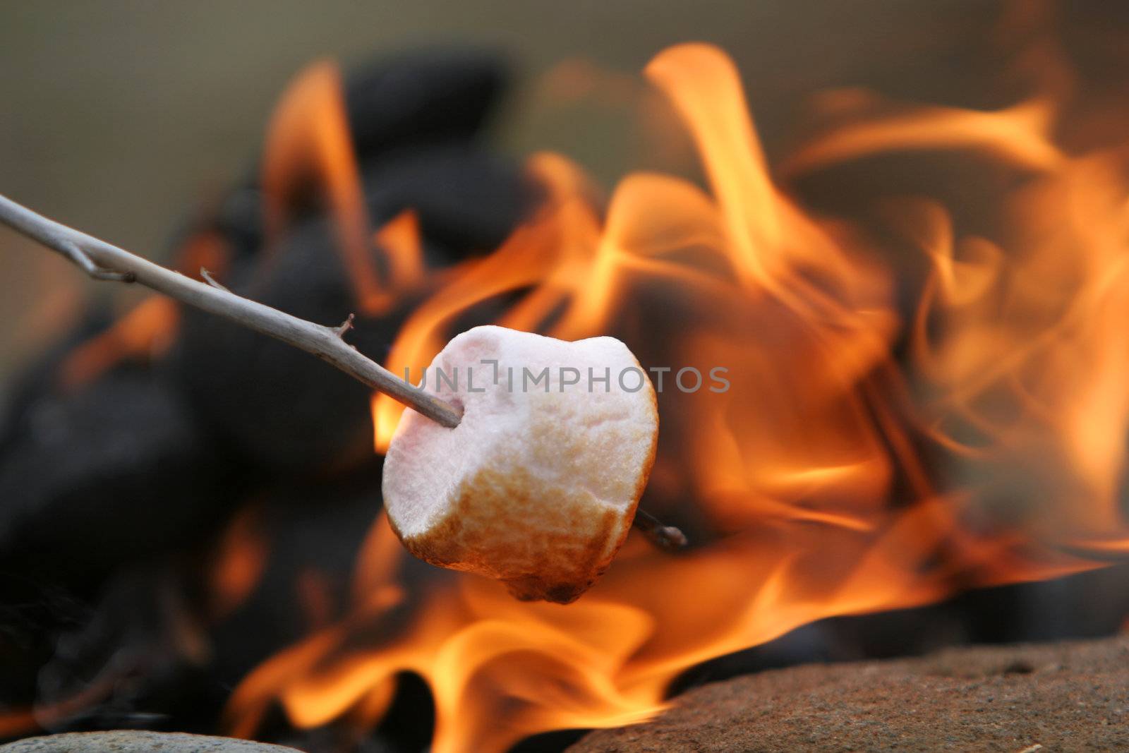 marshmallow on a stick being roasted over a camping fire