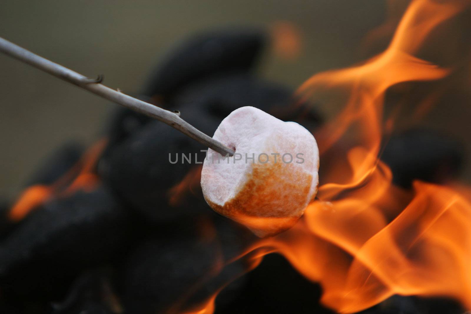 fire roasted marshmallow by sumos