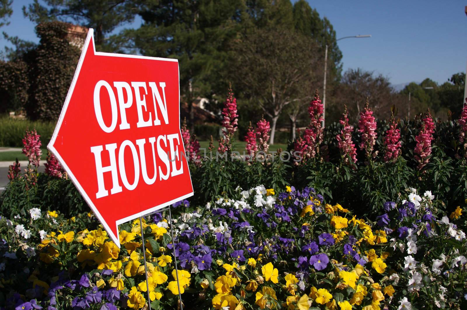 Open House Sign amongst some flowers on a rural street.