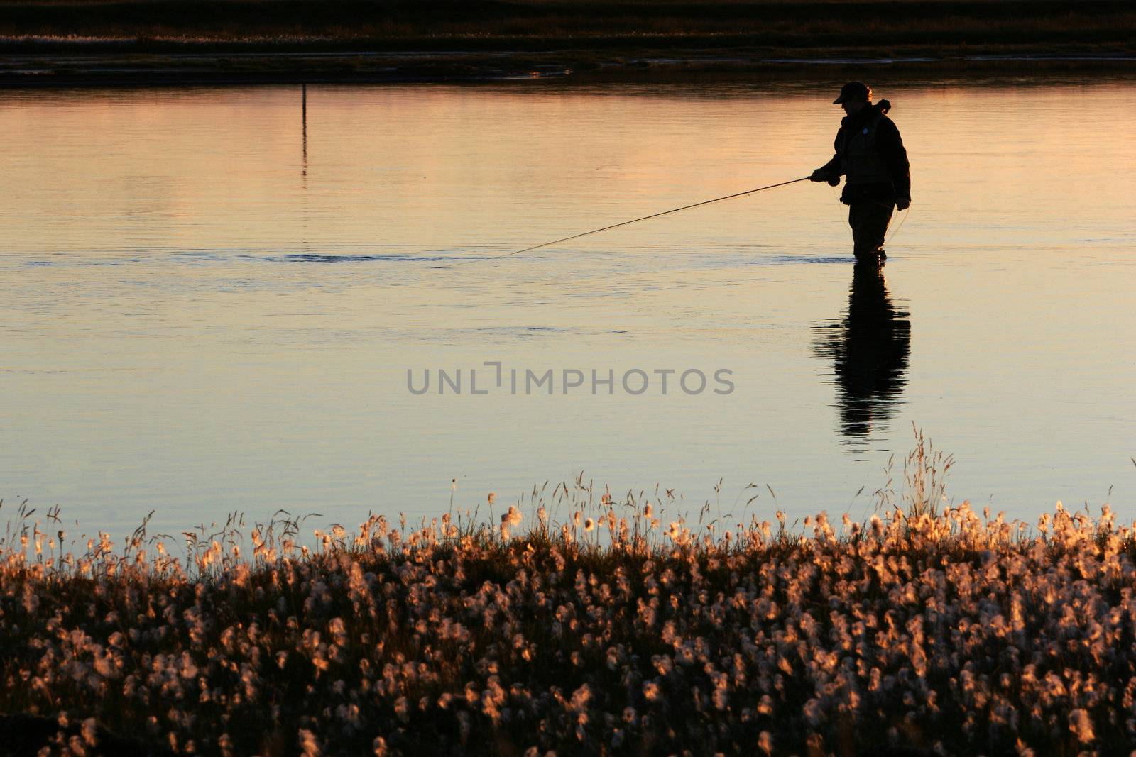 A man flyfishing in calm weather in twilight, sun lighting up the water and the near riverbank