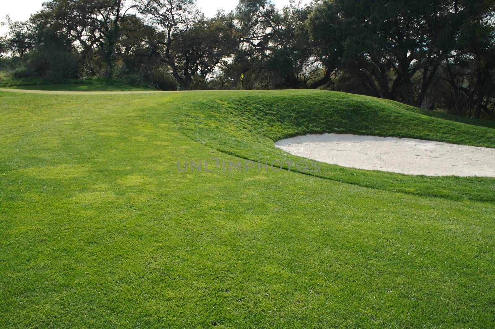Abstract of Golf Course Bunkers by Feverpitched