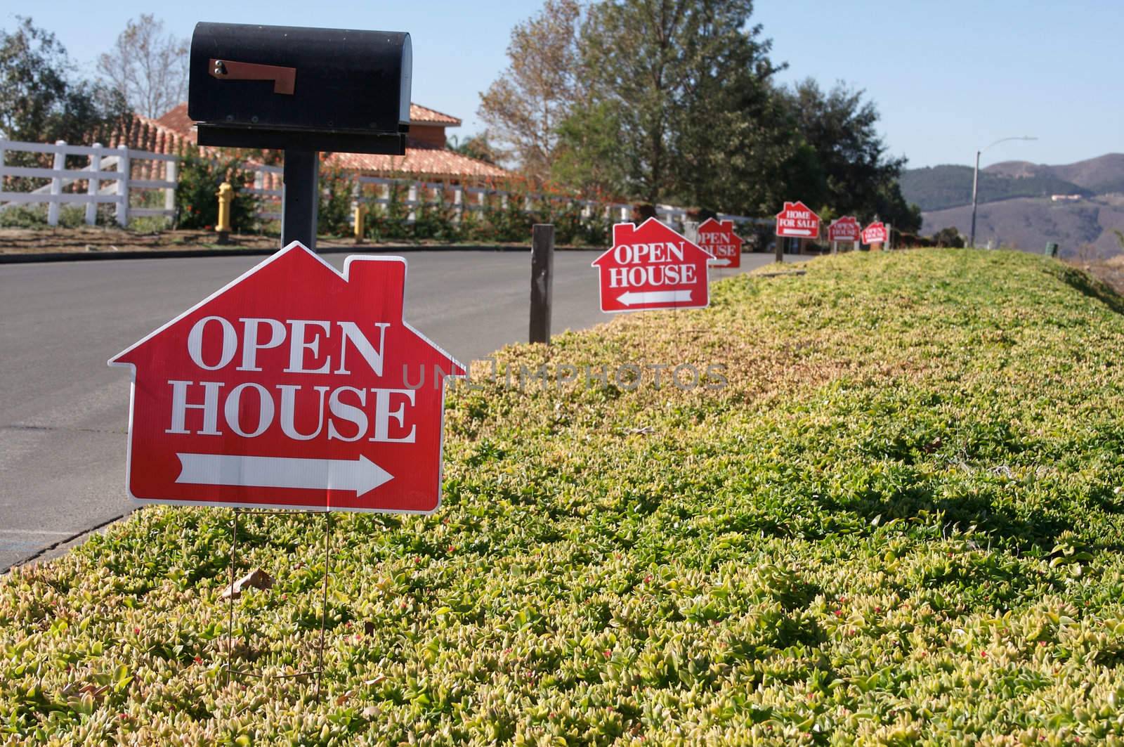 Home For Sale Signs along a rural street.