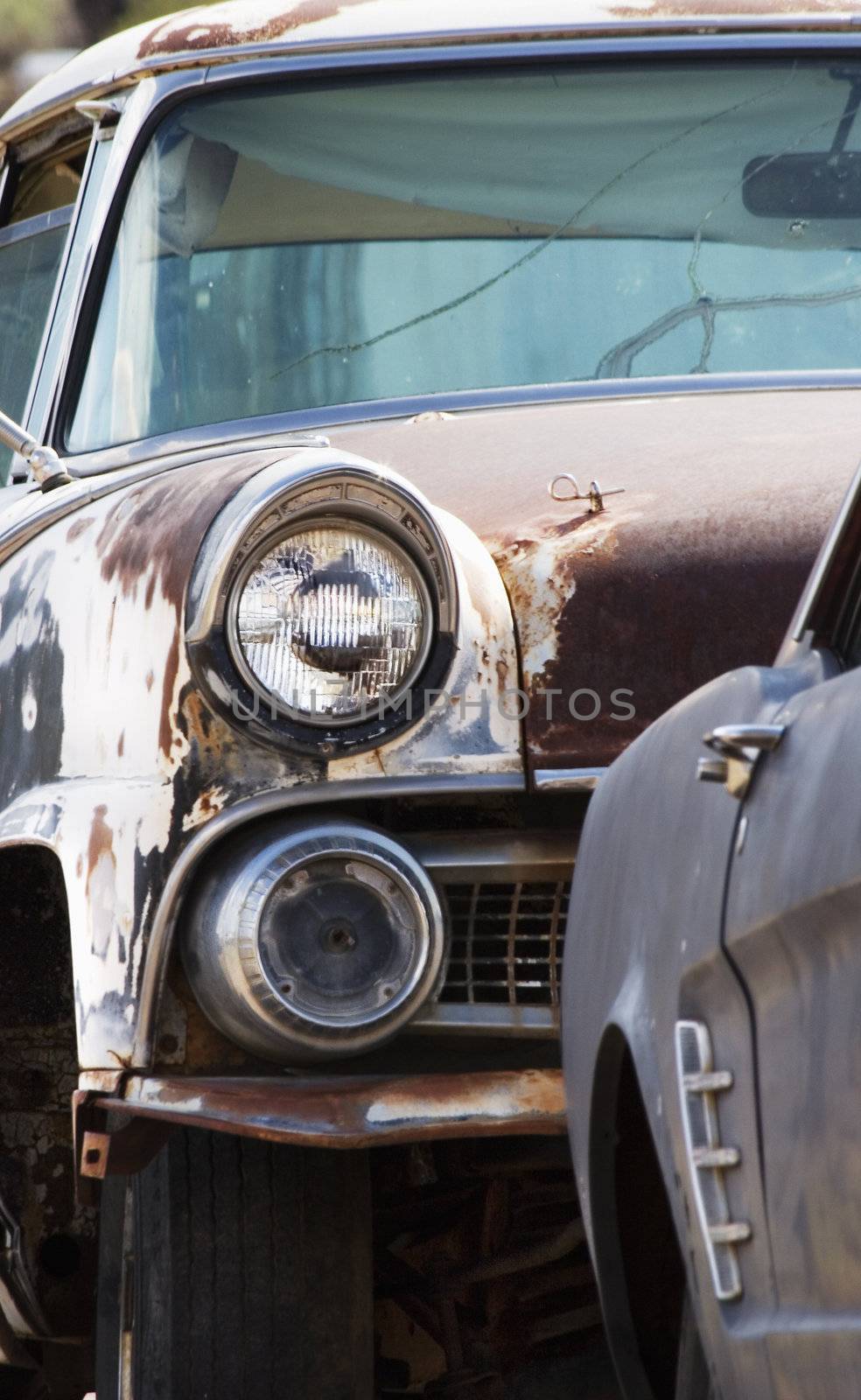 Headlight on a rusted and abandoned car in a wrecking yard.