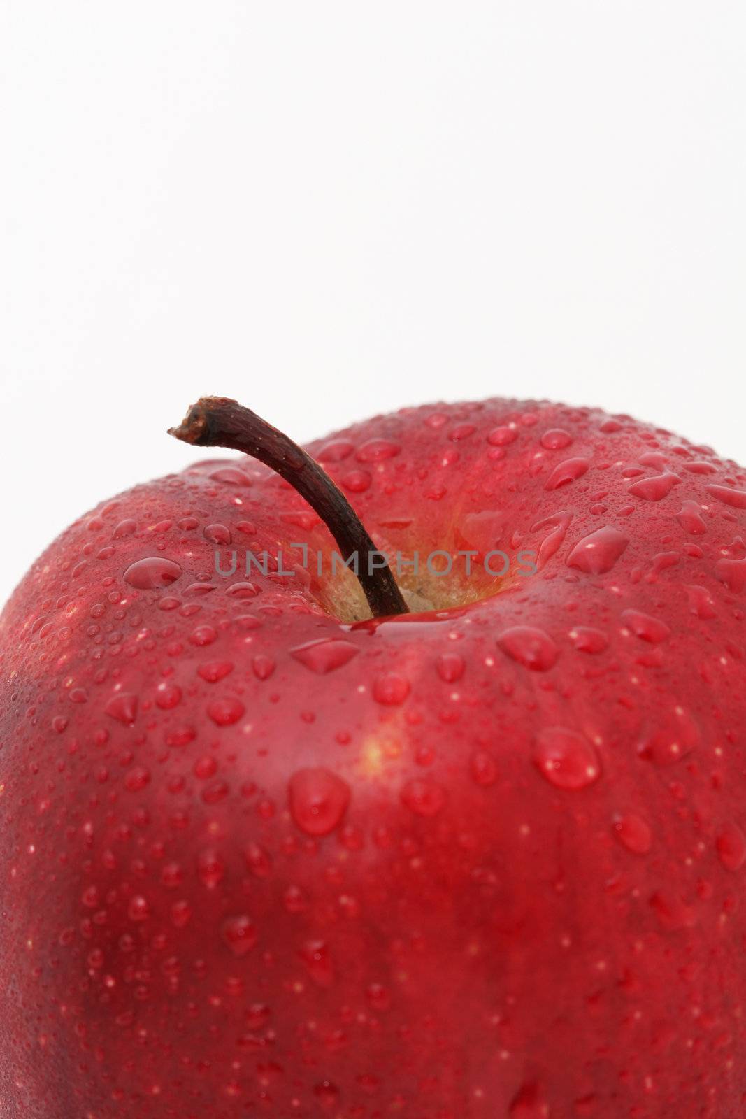 A close up of a red apple isolated on white, water drops on apple