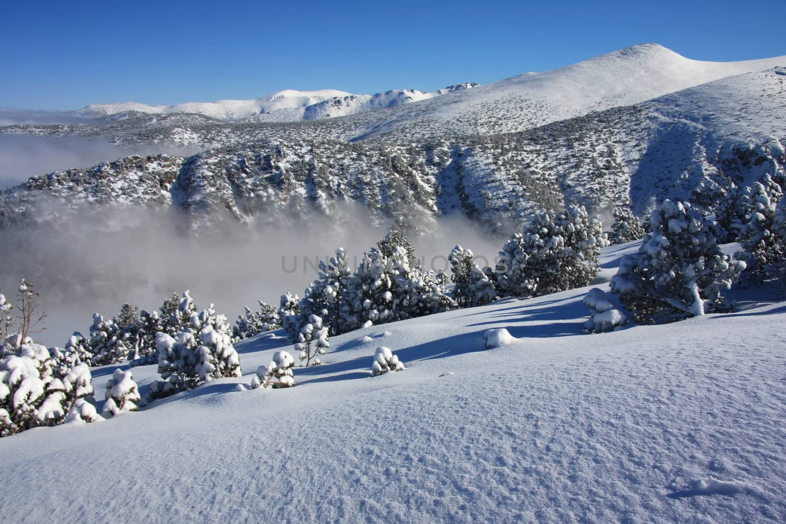 Winter landscape and fog in the mountain