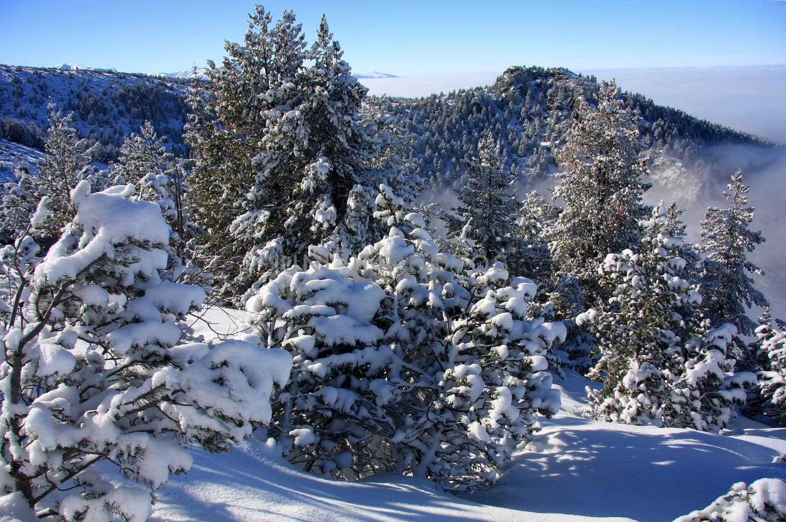 Winter landscape and fog in the mountains