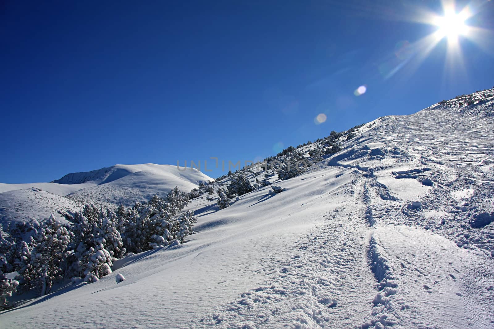 Shining sun and alpine ski slope in the mountain