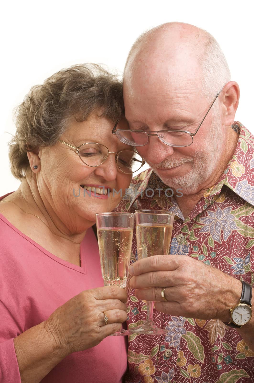 Happy Senior Couple Toasting by Feverpitched