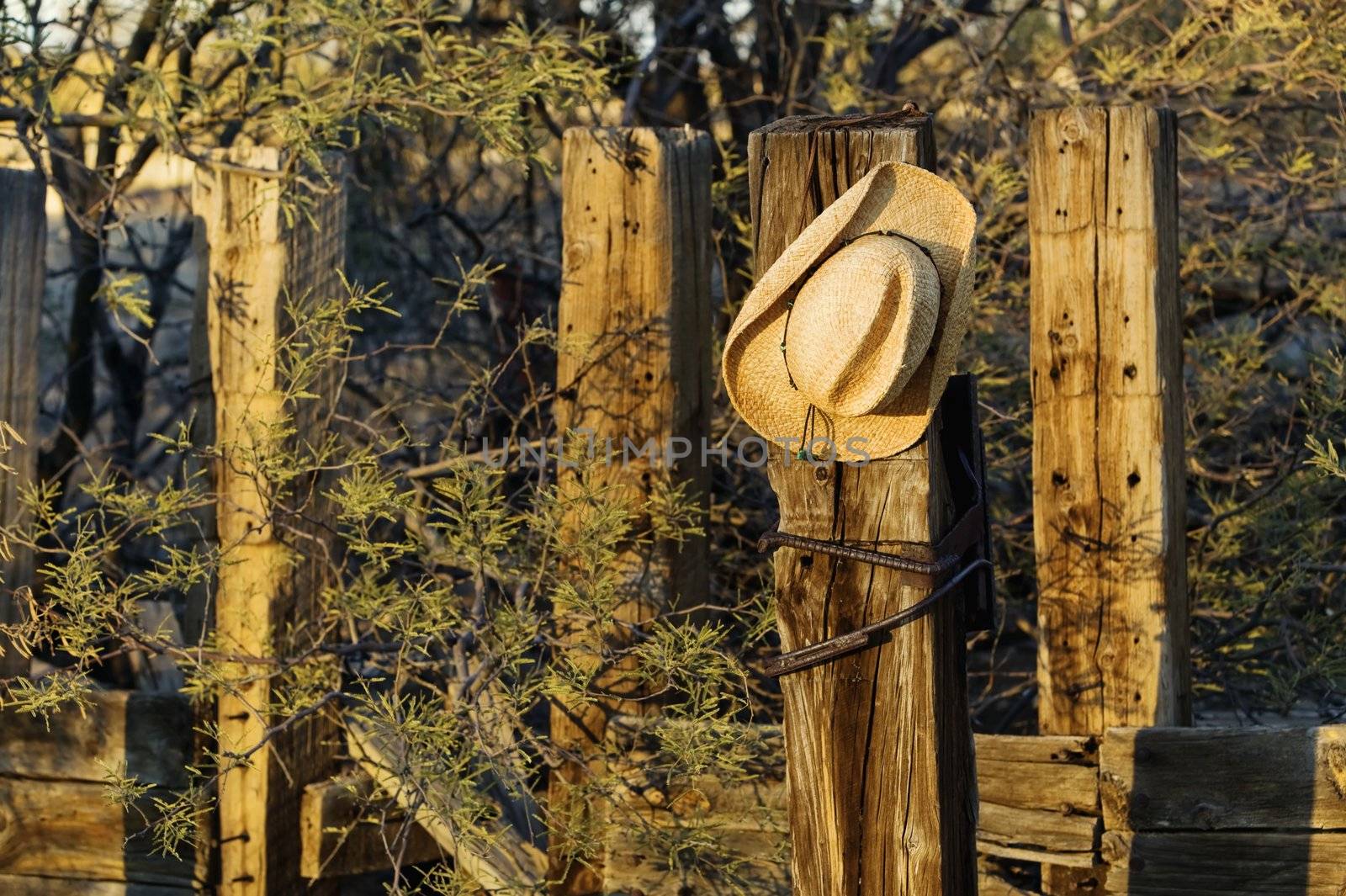 Straw cowboy hat hanging on an old wooden post.