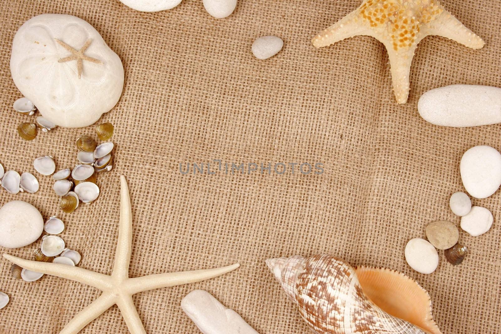 Beach postcard with sea shell and star fish on a burlap