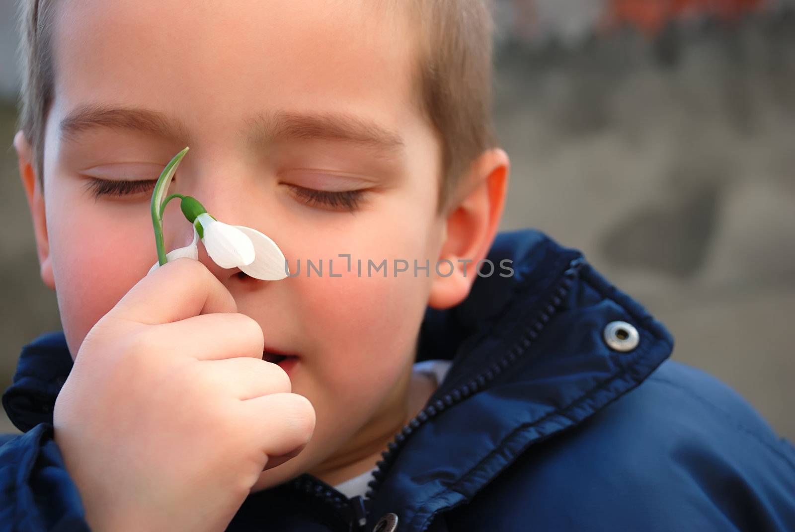 a boy is enjoying the smell of a snowdrop