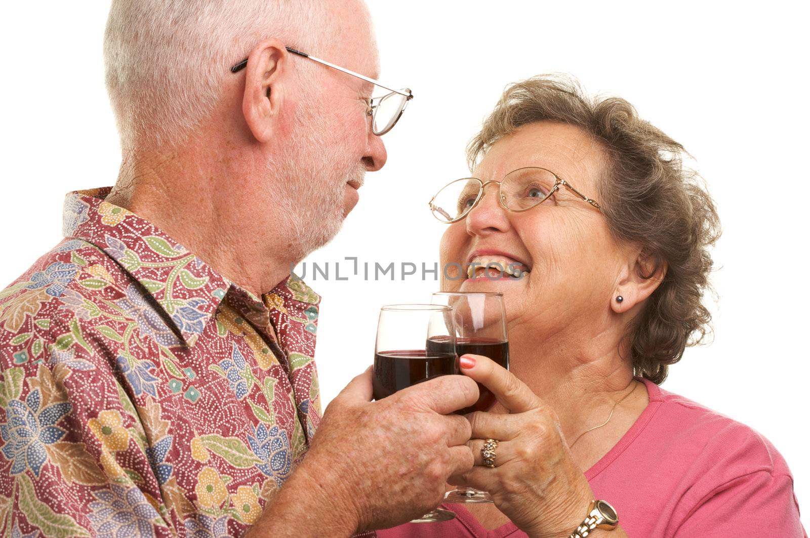 Happy Senior Couple Toasting by Feverpitched