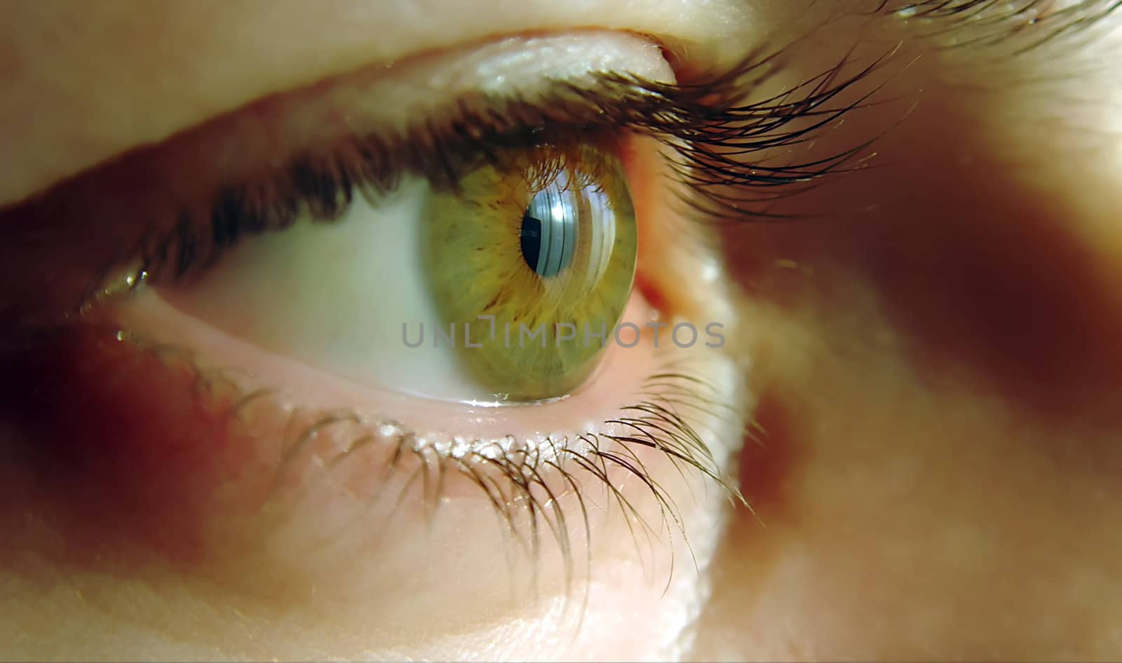 a close-up of a human eye, green color