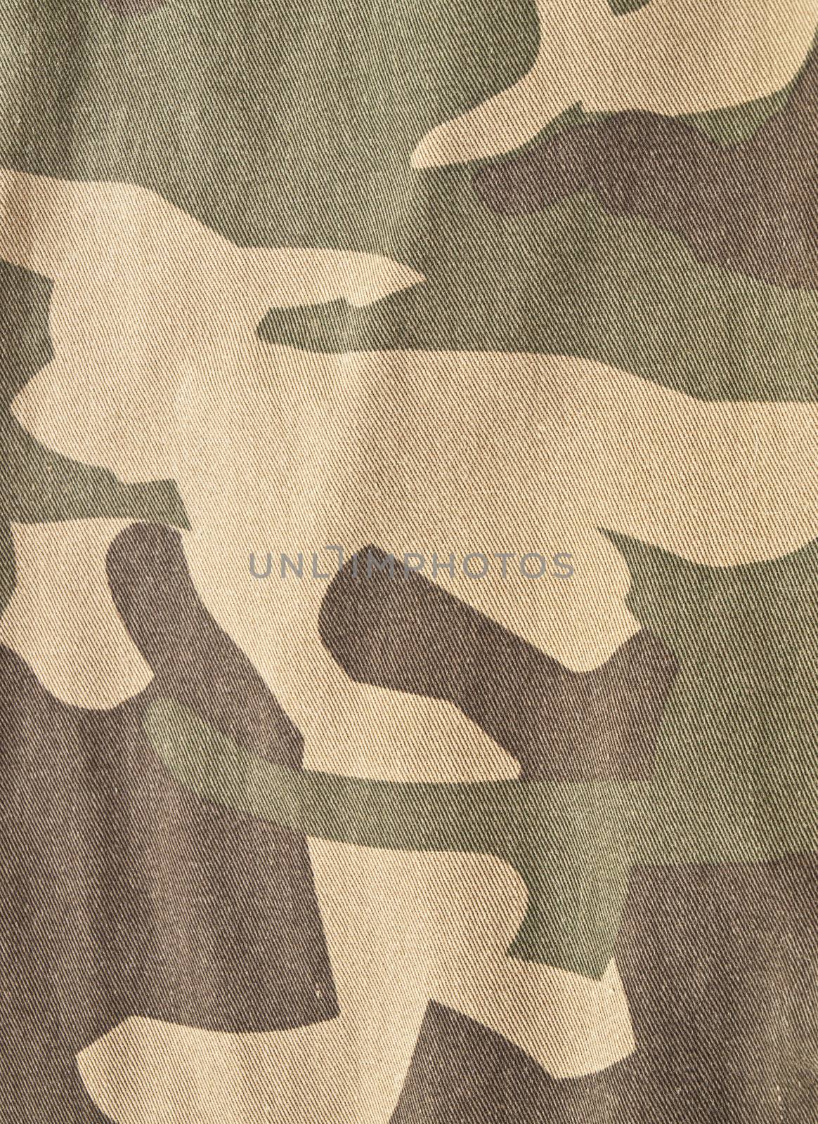 Camouflage background