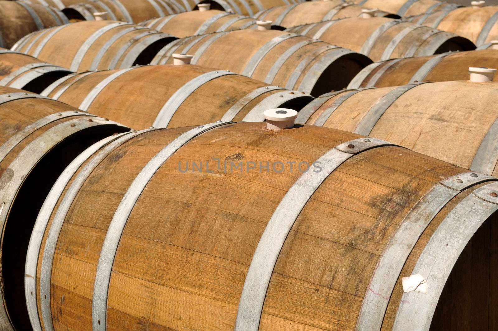 Wine Barrels being stored