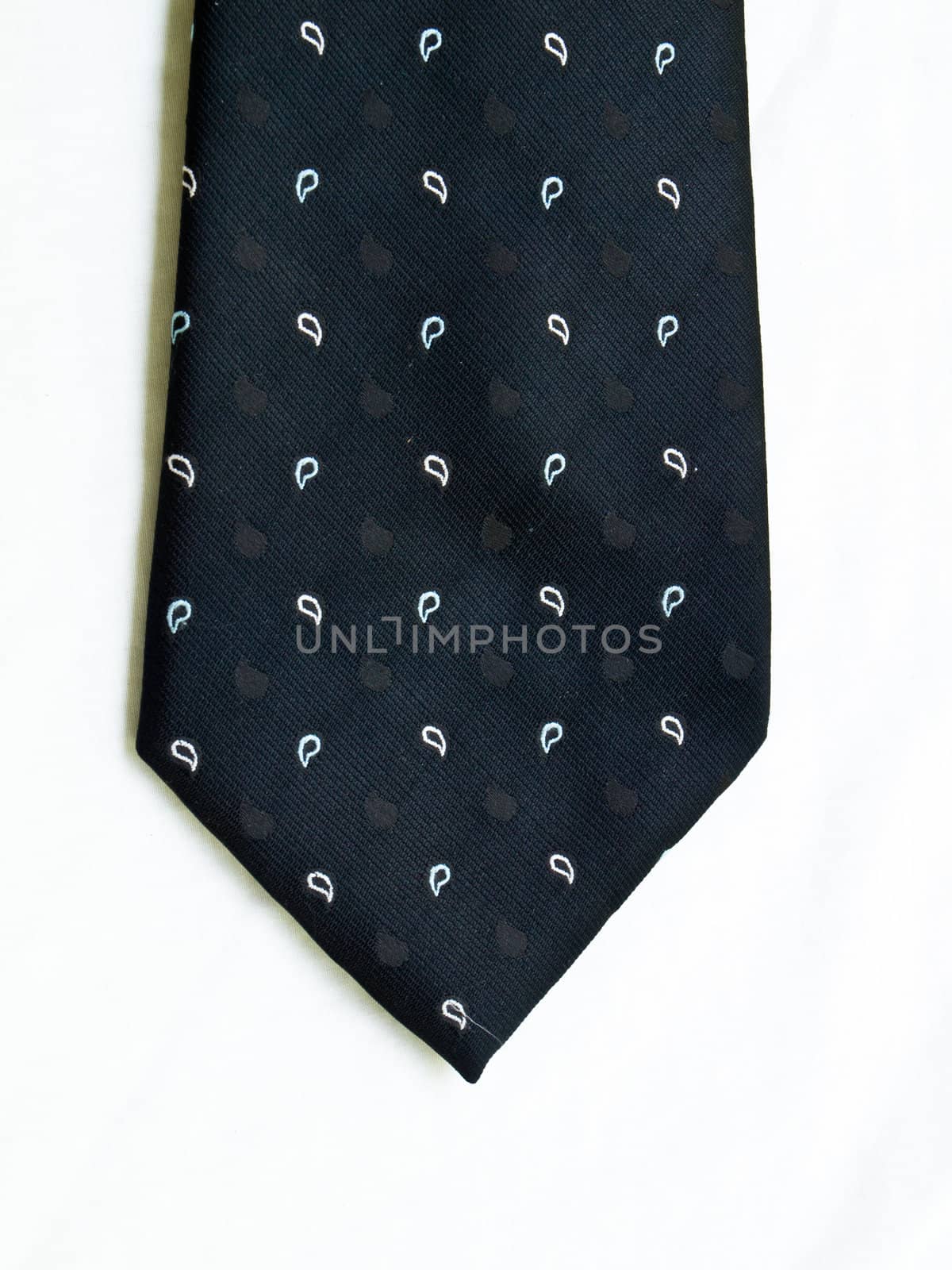 A dotted black tie isolated on white background.