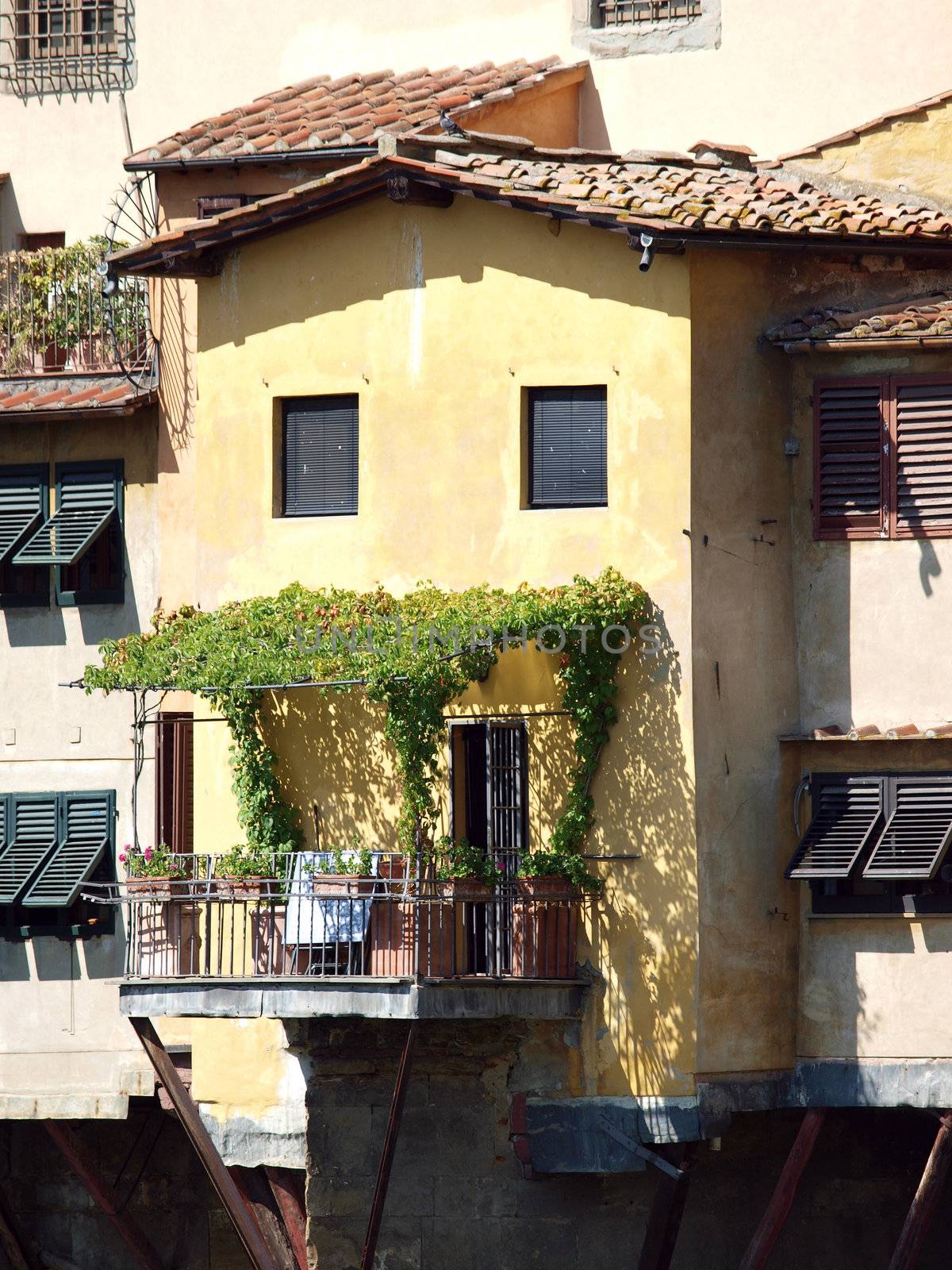 Florence - View of the Ponte Vecchio 