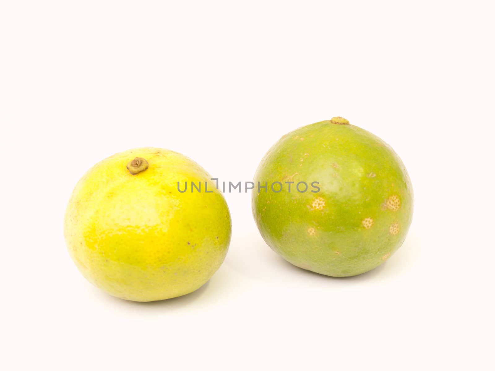 Limes isolated on white background