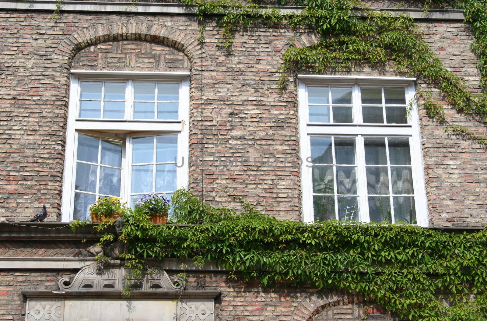 Poland. Gdansk city. Windows of old houses 

