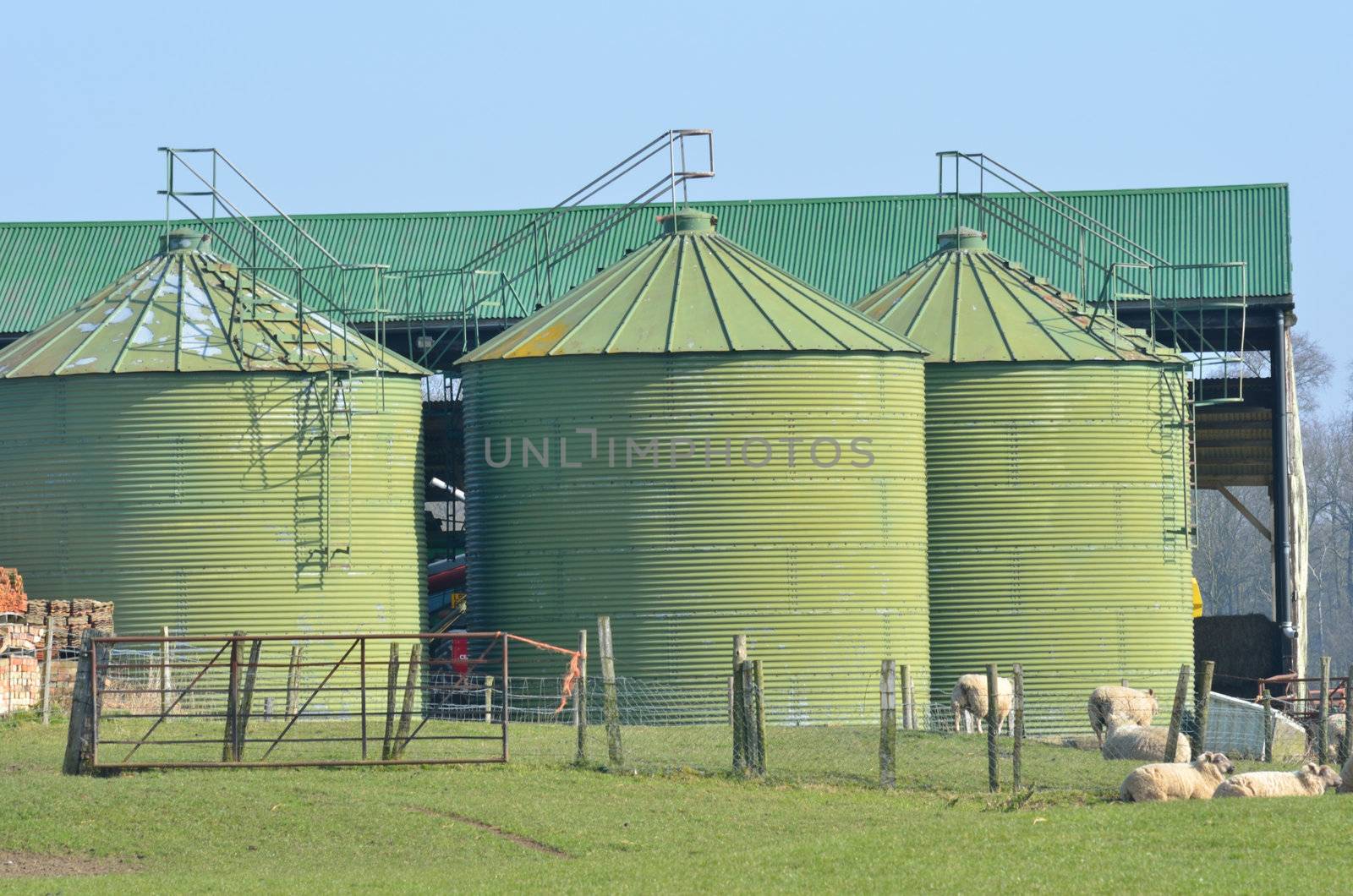 Metal green farm  silos