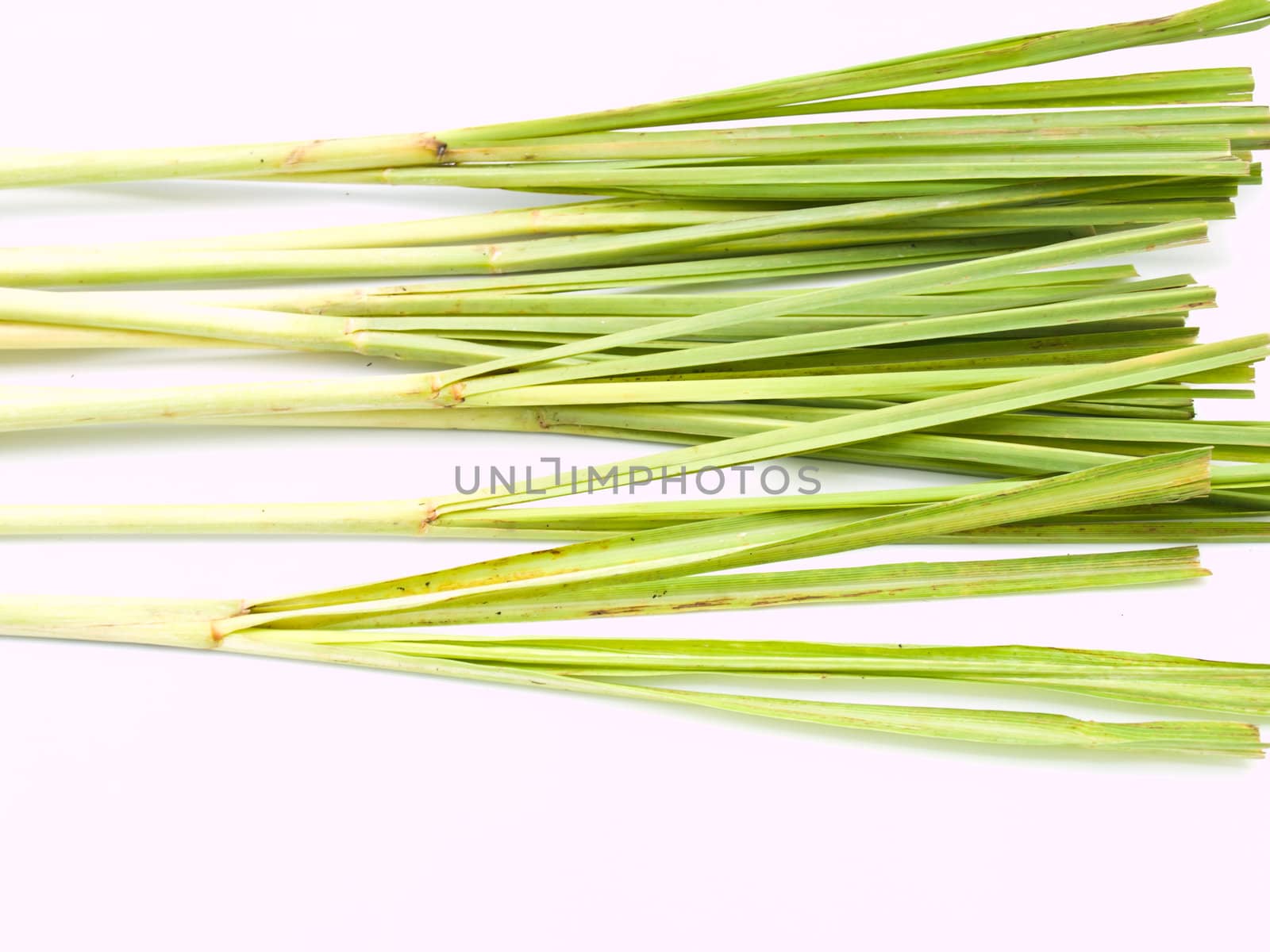 Fresh Lemongrass