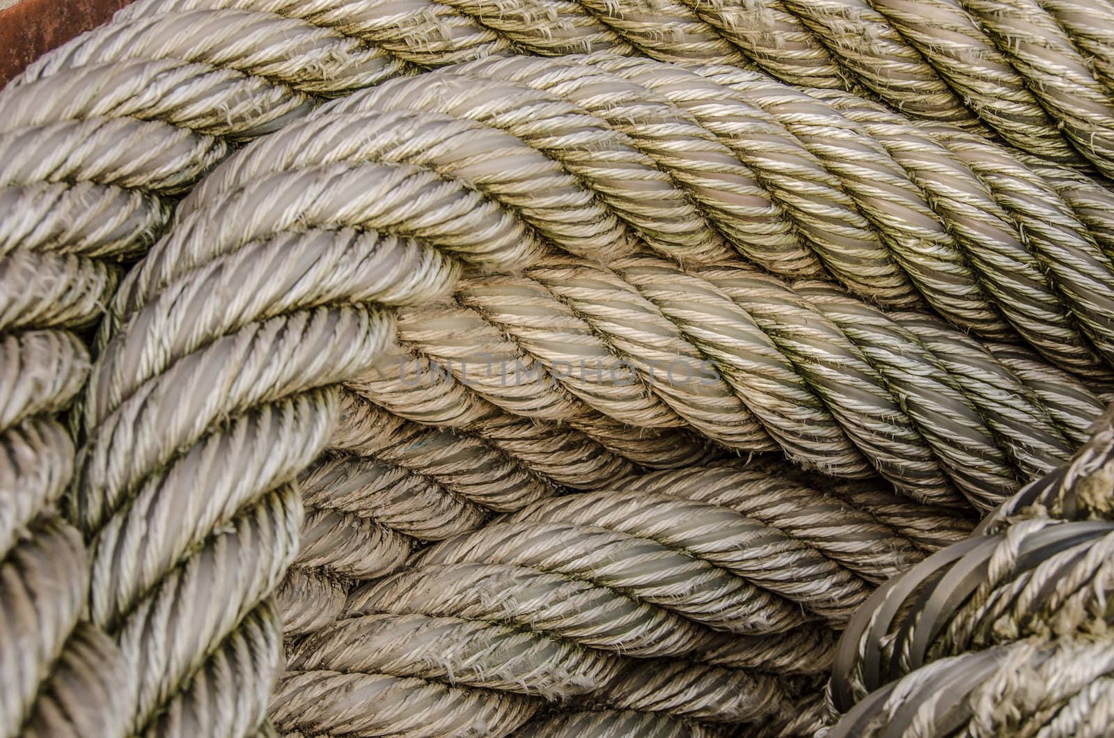Wound up rope in the harbor