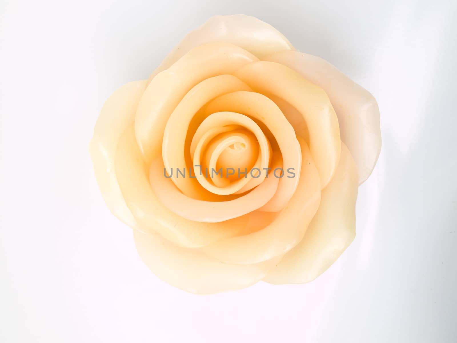 A light pink rose's candle isolated on white background