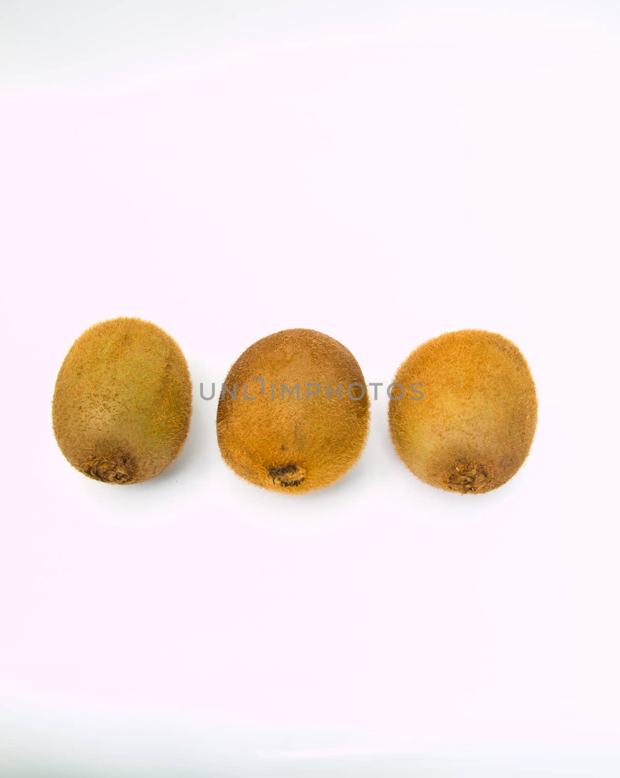 Kiwi fruit isolated on white background