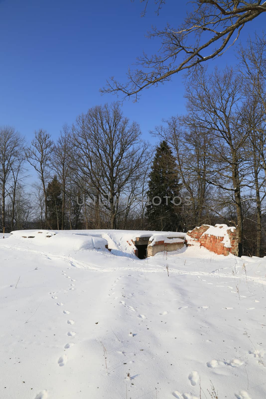 cold winter day