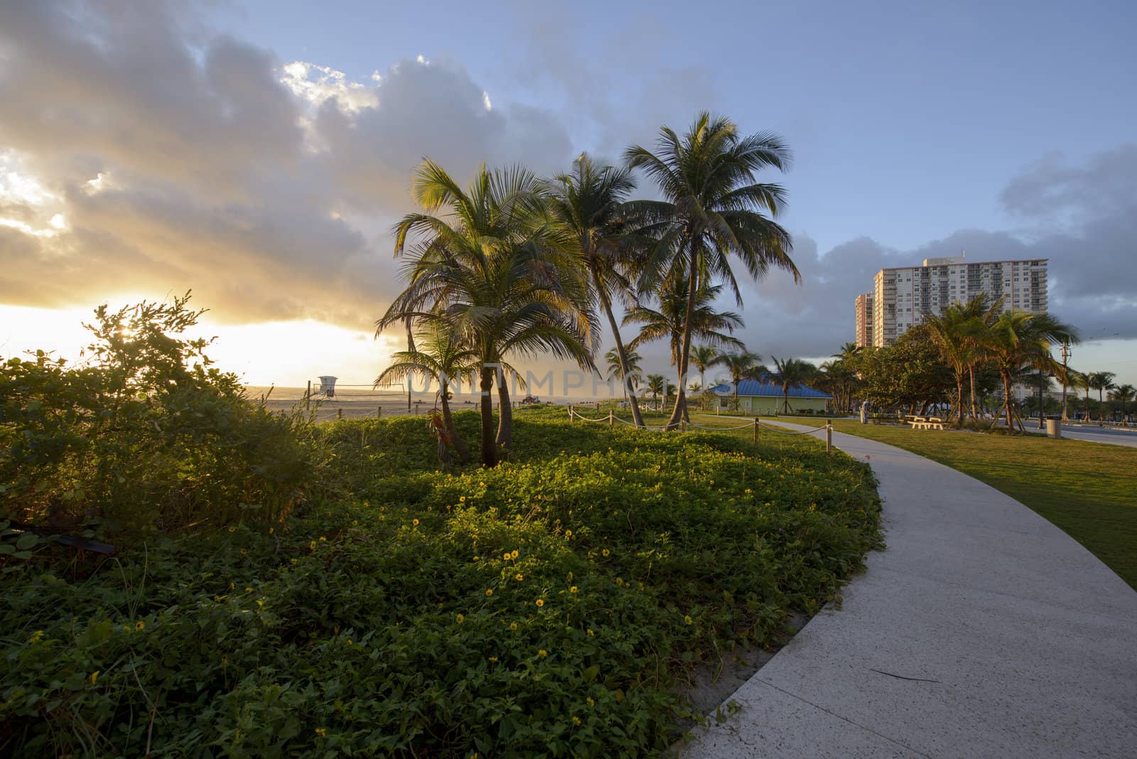 Early morning near ocean