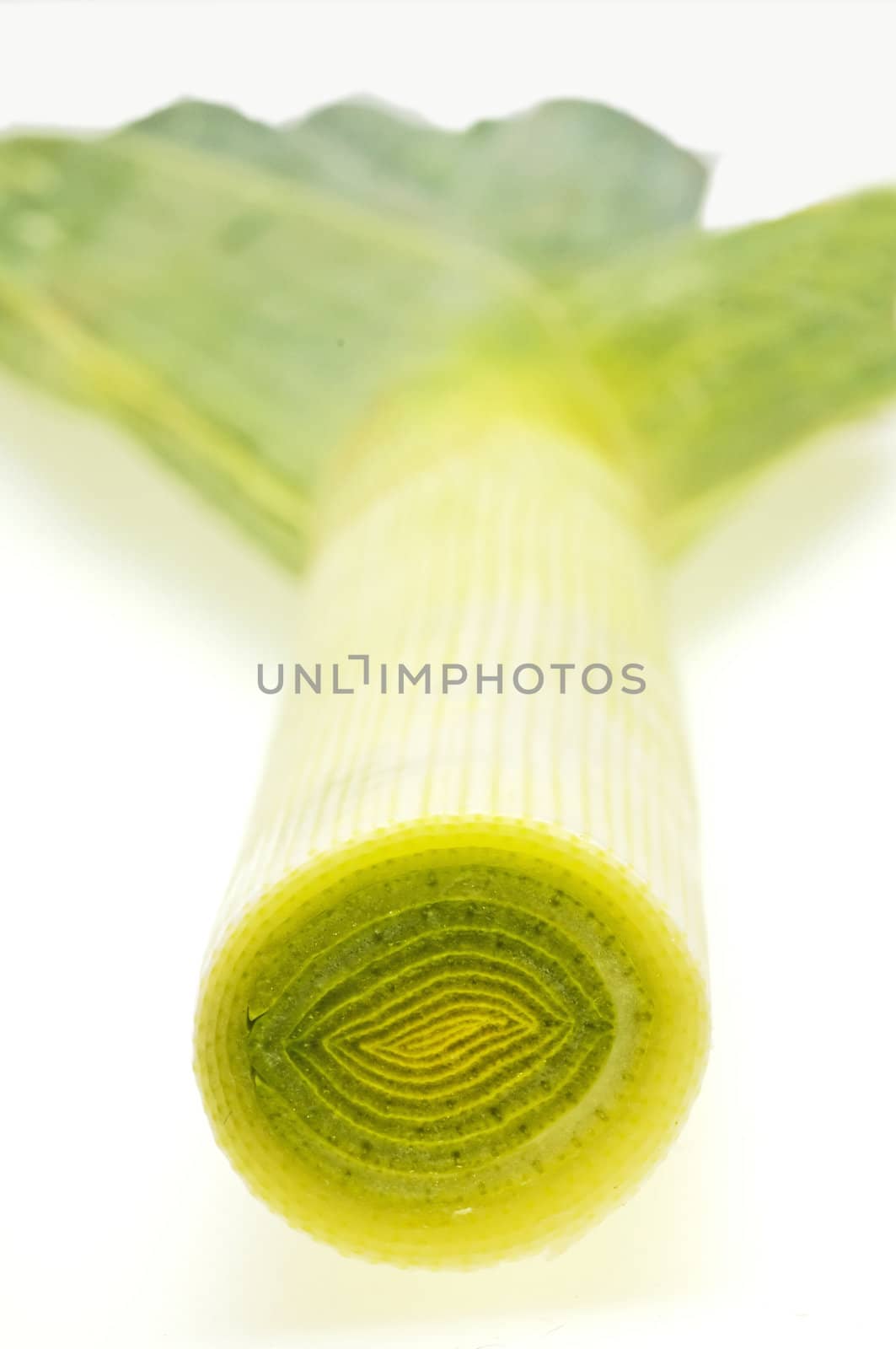 leek by Jochen