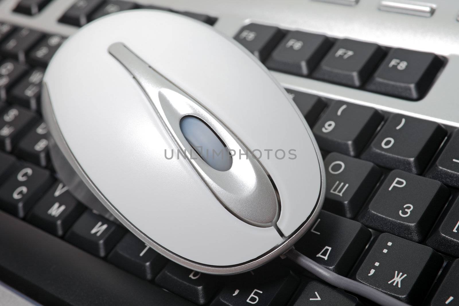 Mouse laying on keyboard macro photography.