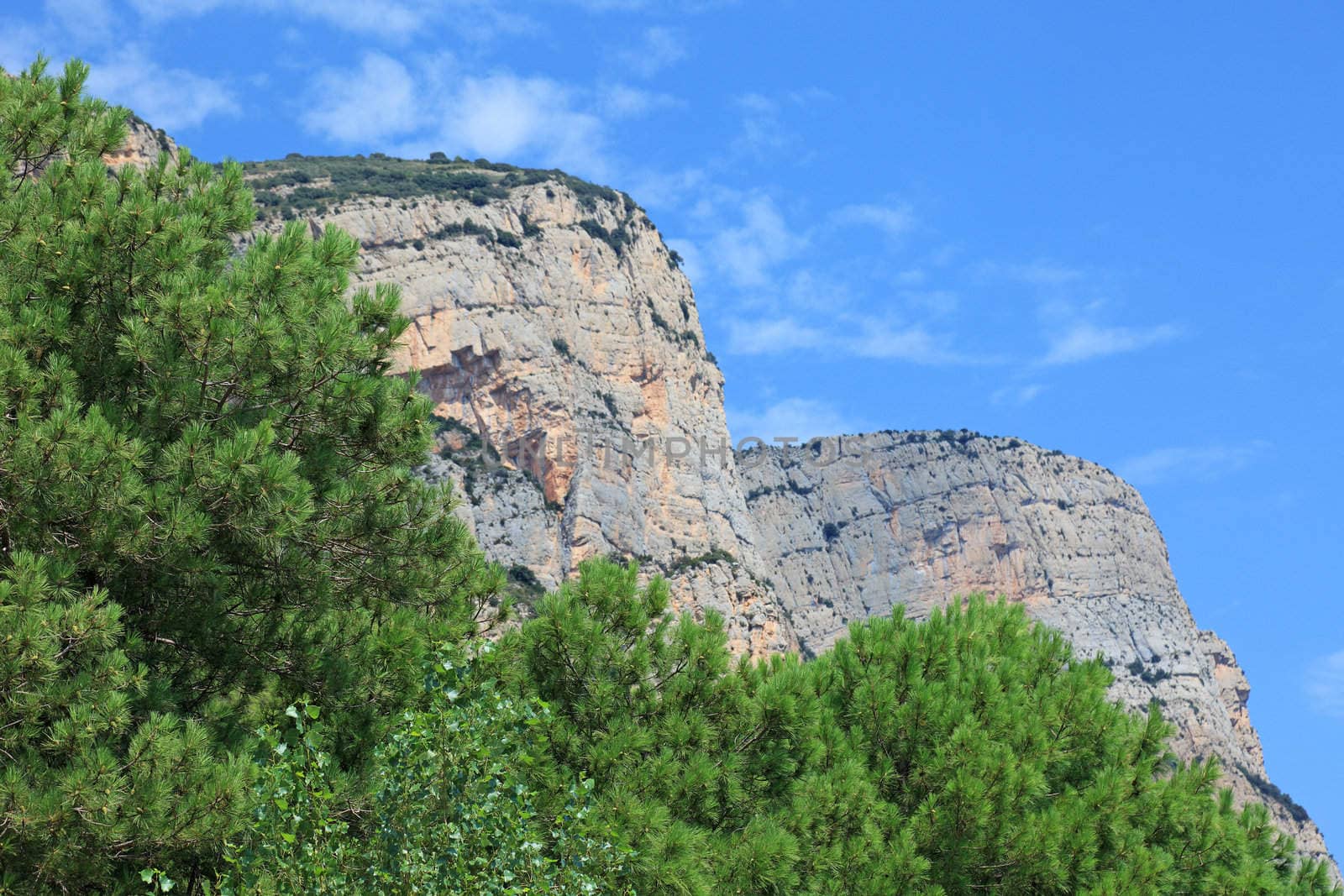 High cliffs and pine trees as background.
