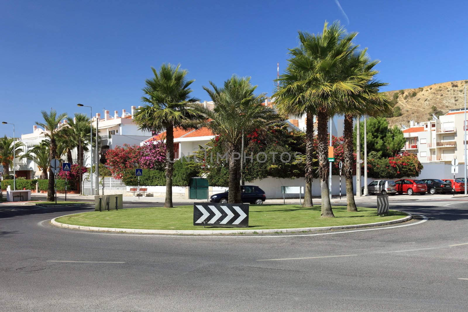 Circle crossroad with palms in Lisbon, Portugal.