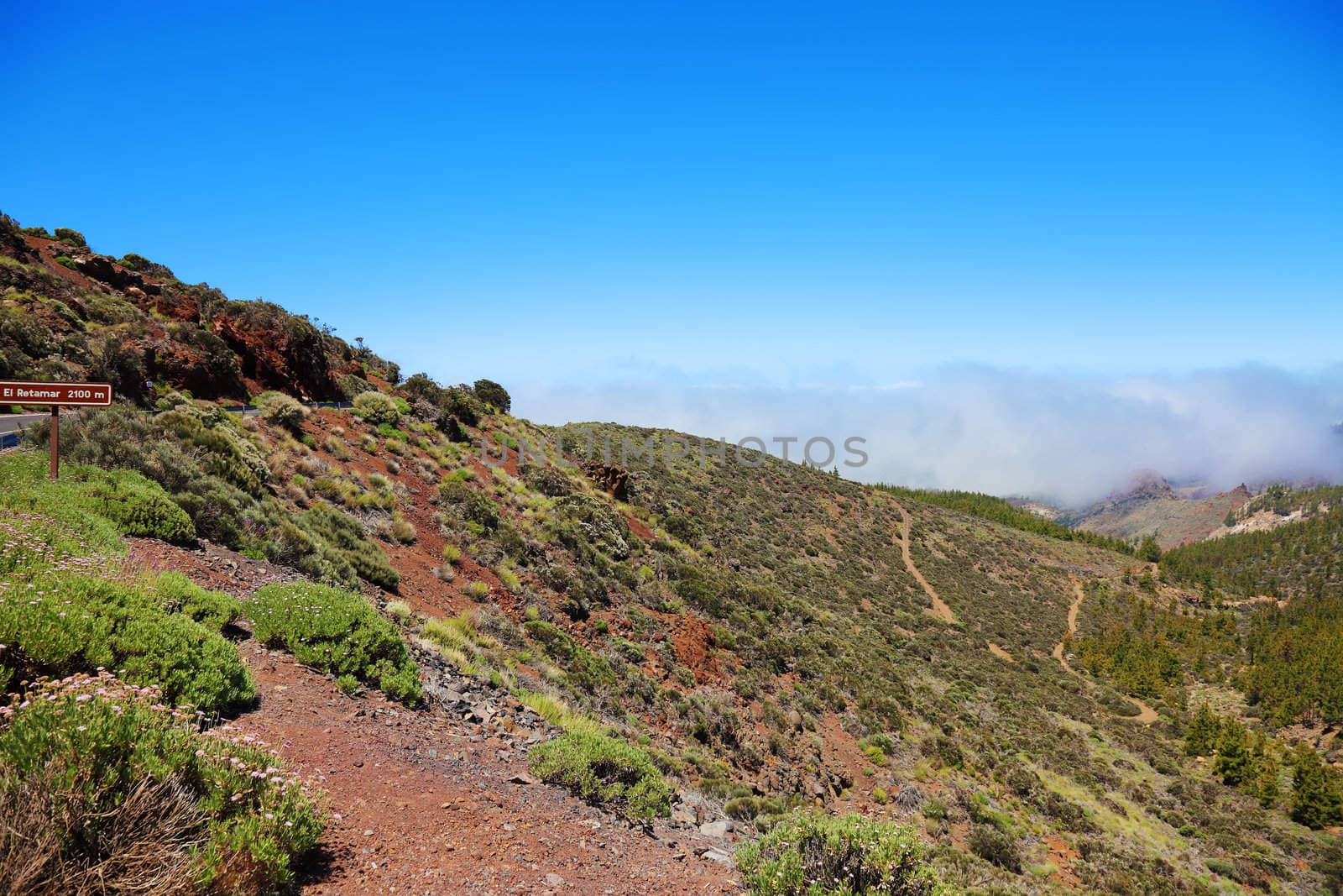 Road to El Teide volcano, Canaries, Tenerife. by borodaev