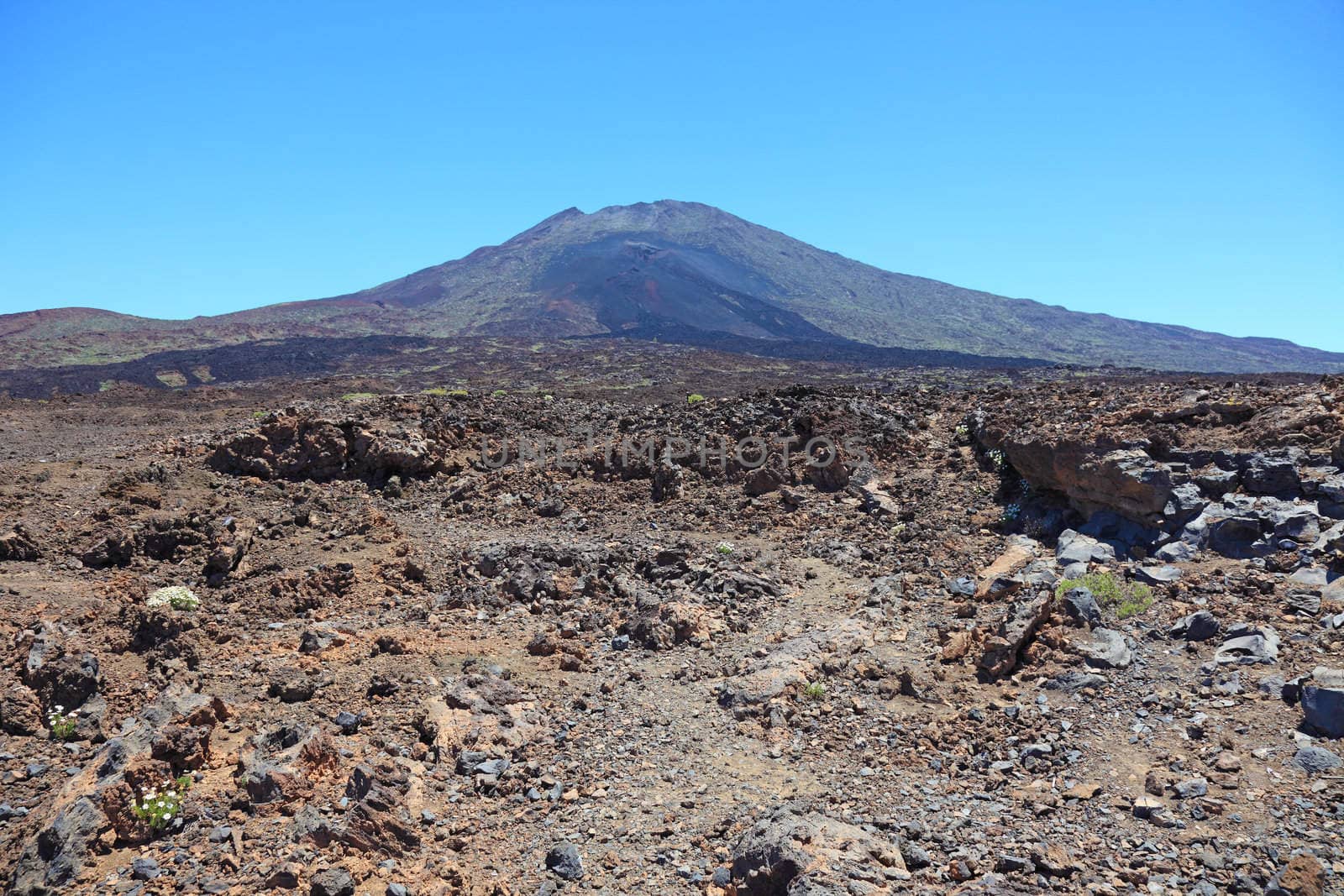 Panoramic view of El Teide volcanic desert, Tenerife, Spain. by borodaev