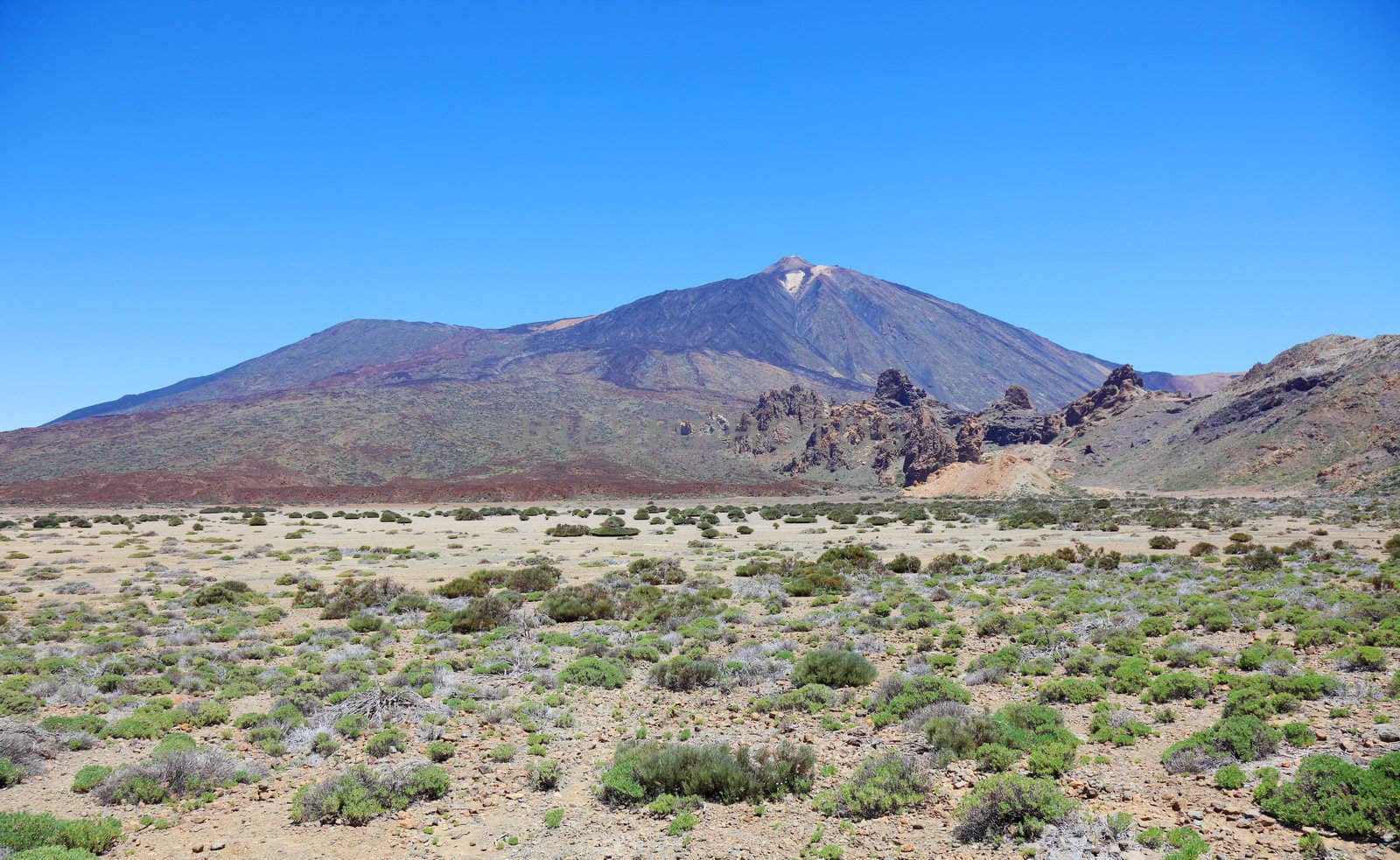 Panoramic view of volcanic desert near El Teide volcano, Tenerif by borodaev