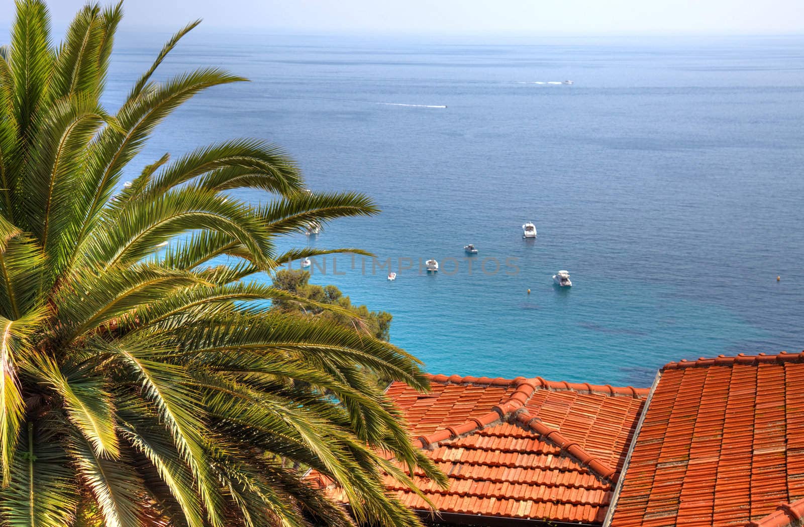 Mediterranean sea view from mountain, Cote'd Azur. by borodaev