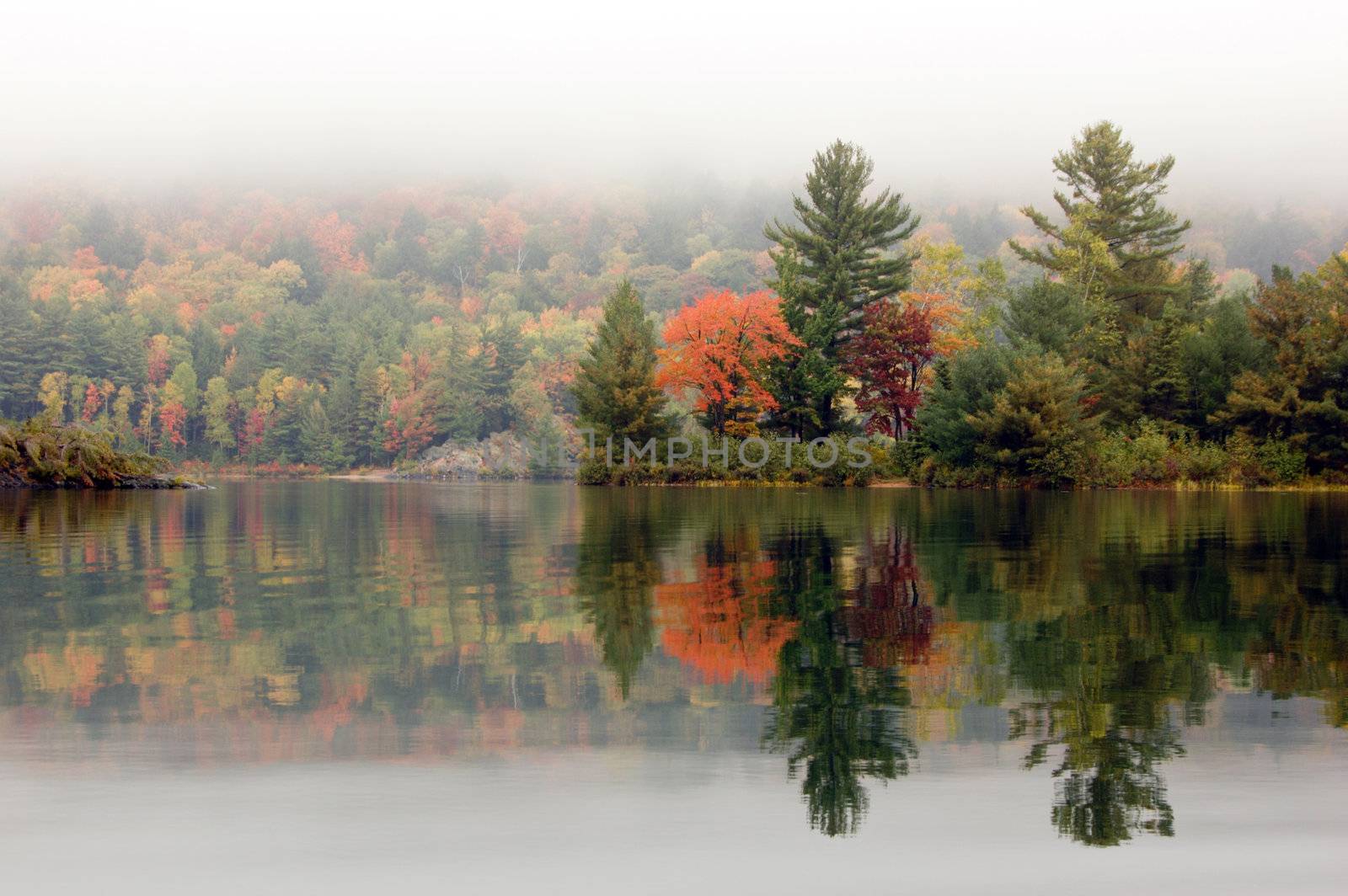 Shore of George Lake in overcast day. Killarney Prov. Park
