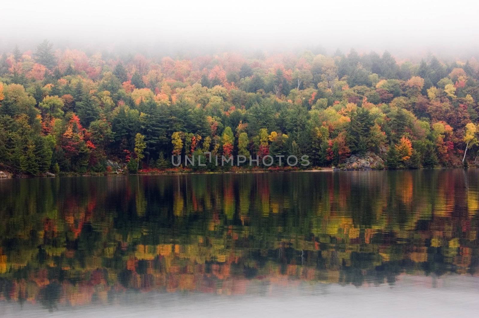 Shore of George Lake in overcast day. Killarney Prov. Park
